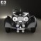 Squire Corsica Roadster 1936 3d model